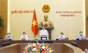 Khắc phục tính hình thức trong công tác thi đua khen thưởng