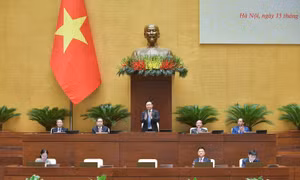 Bắt đầu phiên chất vấn hai bộ trưởng Bộ Tư pháp, Bộ Nông nghiệp và Phát triển nông thôn