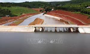 Thân đập hồ thủy lợi Đắk N’ting (xã Quảng Sơn, huyện Đắk G’long, tỉnh Đắk Nông) bị nứt thân đập, nhiều vị trí trên cầu qua tràn bằng bê tông bị xô lệch, nứt gãy