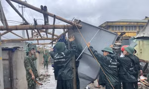 Bộ đội Biên phòng triển khai giúp dân khắc phục hậu quả của bão Noru