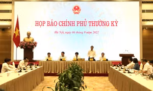 Việc tước giấy phép 5 doanh nghiệp đầu mối xăng dầu là hành động kiên quyết