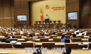 Bước tiến trong quản lý nhà nước về đo đạc và bản đồ: Bài 1-Nhu cầu cấp bách ban hành Luật 