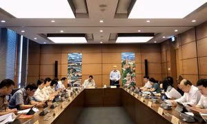 Đại biểu Quốc hội mong muốn Chính phủ có giải pháp mạnh mẽ hơn để cứu doanh nghiệp