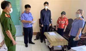 Thủ tướng phê duyệt đề án nâng cao chất lượng công tác thi hành án dân sự