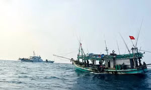 Cảnh sát biển thực hiện đợt cao điểm phòng chống IUU  