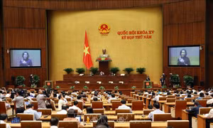 Ngày 31/5, Quốc hội dành cả ngày thảo luận về kinh tế xã hội