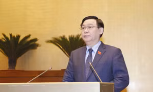 Khai mạc Hội nghị đại biểu Quốc hội hoạt động chuyên trách