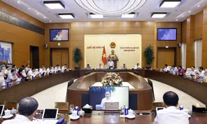 Cử tri và nhân dân lo lắng về dịch tả lợn châu Phi