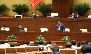 Ngày 9/6, Quốc hội thảo luận hai dự án luật quan trọng, trong đó có Luật Đất đai (sửa đổi)