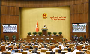 Bộ trưởng Trần Đức Thắng: Biến đổi khí hậu đã gây ra các hình thái thời tiết dị thường