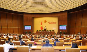 12 Luật sẽ chính thức có hiệu lực từ 1/7/2020