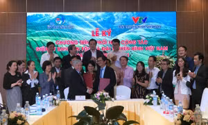 Ủy ban Dân tộc và Đài Truyền hình Việt Nam ký kết chương trình phối hợp công tác