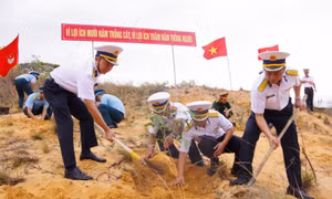 Cán bộ, chiến sĩ Lữ đoàn 146 tích cực trồng cây xanh bảo vệ môi trường sống