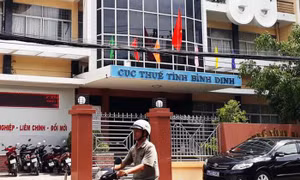 Cảnh cáo nguyên Cục trưởng Cục Thuế tỉnh Bình Định  