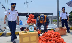 Gian nan chống buôn lậu trên biển