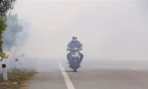 Đốt phụ phẩm nông nghiệp gây ô nhiễm môi trường sẽ bị phạt tới 3 triệu đồng