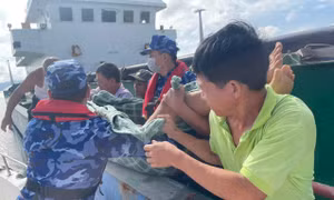 Cảnh sát biển hỗ trợ cấp cứu thủy thủ tàu hàng bị đột quỵ trên biển
