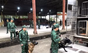 Tham gia cứu hộ, cứu nạn khẩn cấp ở Myanmar là nhiệm vụ quốc tế cao cả