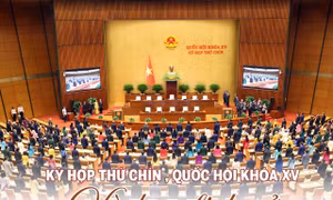 Kỳ họp thứ 9, Quốc hội khóa XV: Kỳ họp lịch sử