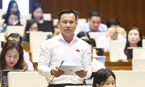 Gắn phát triển đô thị với quốc phòng, an ninh và kinh tế biển