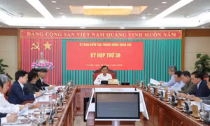 Đề nghị kỷ luật một số đảng viên vi phạm tại Đảng bộ Vĩnh Phúc và Quảng Ngãi 