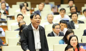 Đại biểu Quốc hội: Phân bón, hóa chất độc hại như mê hồn trận trong nông nghiệp