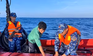 Cảnh sát biển bắt giữ tàu vận chuyển khoảng 40.000 lít dầu DO trái phép