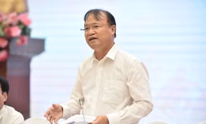 Hỗ trợ doanh nghiệp xuất khẩu trực tiếp vào các mạng phân phối nước ngoài 