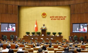 Ngày 1/12, Quốc hội tiếp tục thảo luận về các dự án luật