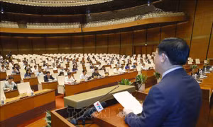 Làm rõ địa vị pháp lý của lực lượng tham gia bảo vệ an ninh, trật tự ở cơ sở