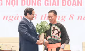 Chàng trai người Mông 9X khởi nghiệp từ trồng rau an toàn 