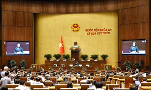 Quốc hội thông qua Nghị quyết sắp xếp đơn vị hành chính là khoảnh khắc lịch sử