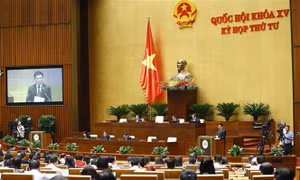 Những vấn đề nóng được đại biểu Quốc hội chất vấn và trả chất vấn 