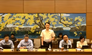 Cần có chính sách đặc thù nâng cao hiệu quả phòng ngừa, giải quyết tranh chấp đầu tư quốc tế