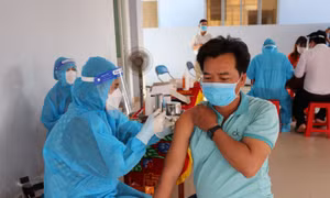 Áp dụng hình thức lựa chọn nhà thầu trong trường hợp đặc biệt đối với gói thầu mua vaccine phòng COVID-19 do AstraZeneca sản xuất