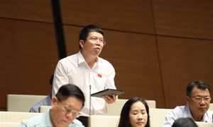 Cần hoàn thiện quy định pháp luật về xử lý kỷ luật cán bộ, công chức, viên chức