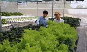 Hỗ trợ phát triển sản phẩm công nghiệp nông thôn tiêu biểu