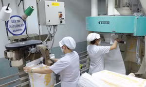 Thứ trưởng Bộ Kế hoạch và Đầu tư Trần Quốc Phương cho biết đã có văn bản xây dựng đề cương dự kiến các giải pháp báo cáo Chính phủ về hỗ trợ người dân, doanh nghiệp bị ảnh hưởng bởi đại dịch COVID-19.