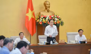 Cần làm rõ hành vi bạo lực gia đình, đảm bảo quyền công dân