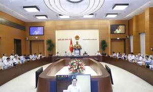 Hội nghị đại biểu Quốc hội hoạt động chuyên trách sẽ thảo luận 6 dự án luật