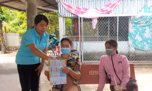 Chính phủ yêu cầu tăng cường thanh tra việc dự toán, quyết toán chi phí quản lý BHXH
