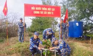 Các đảo trên quần đảo Trường Sa hưởng ứng Tết trồng cây