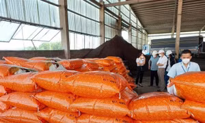Tìm giải pháp kiểm soát sự biến động giá các mặt hàng nông sản