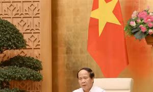 Phê duyệt Khung chính sách bồi thường tái định cư Dự án cầu Phước An