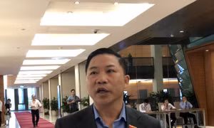 Đại biểu Quốc hội: Say rượu bia, lái xe gây tai nạn giao thông phải tính là tình tiết tăng nặng