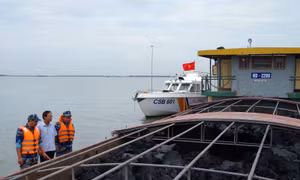 Cảnh sát biển tạm giữ 700 m3 than bùn không rõ nguồn gốc