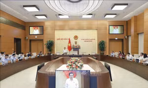Ủy ban Thường vụ Quốc hội cho ý kiến về áp dụng thuế thu nhập doanh nghiệp bổ sung