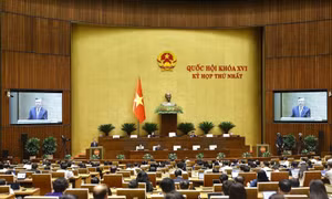 Ngày 22/4, Quốc hội thảo luận hai dự thảo Nghị quyết về lĩnh vực văn hóa và thành lập thành phố Đồng Nai