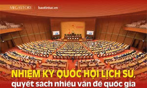 Nhiệm kỳ Quốc hội lịch sử, quyết sách nhiều vấn đề quốc gia chưa có tiền lệ