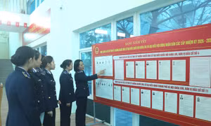 Việc lập danh sách cử tri phải tuân thủ theo nguyên tắc nào?